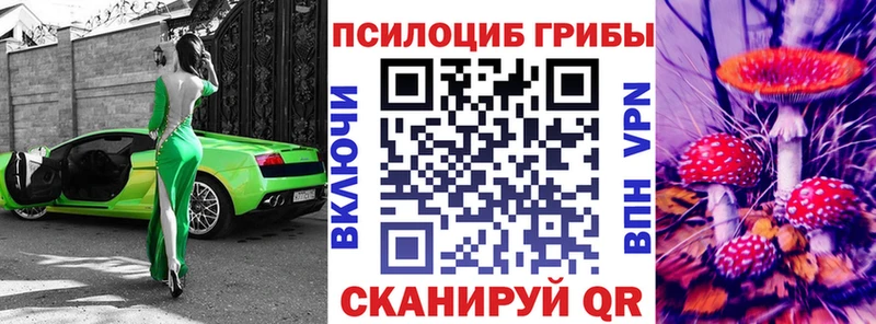 мега зеркало  Яровое  Псилоцибиновые грибы мицелий 